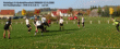 thm_Rudolphshan-SVS II 12.10.08 02.gif
